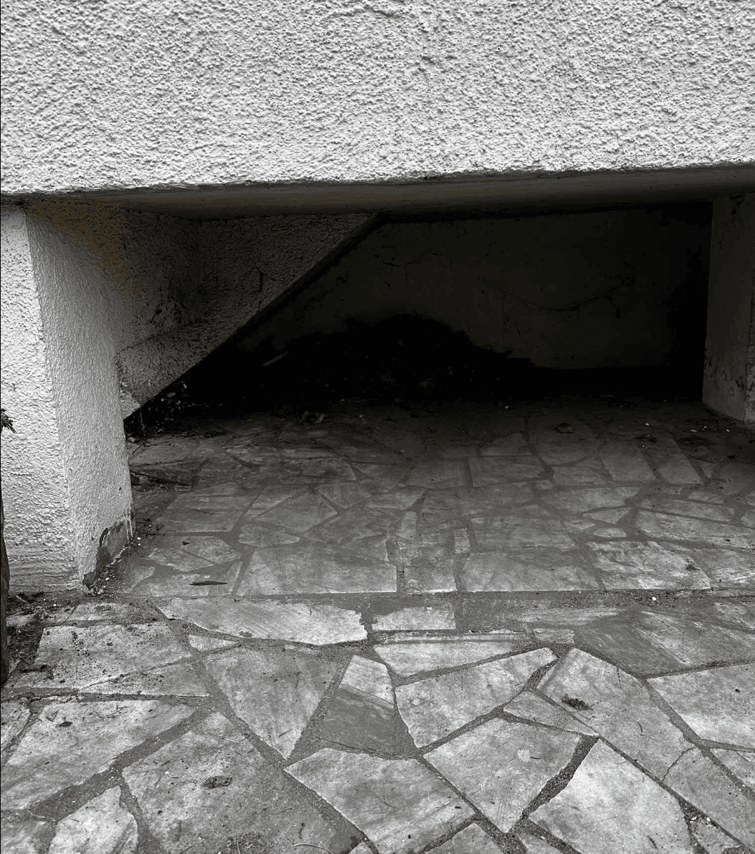 Porządkowanie Ogrodu - Gliwice - po