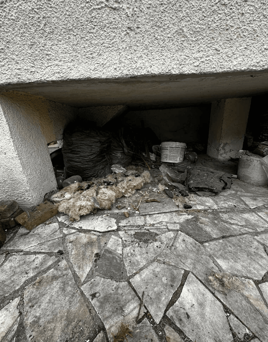 Porządkowanie Ogrodu - Gliwice - przed